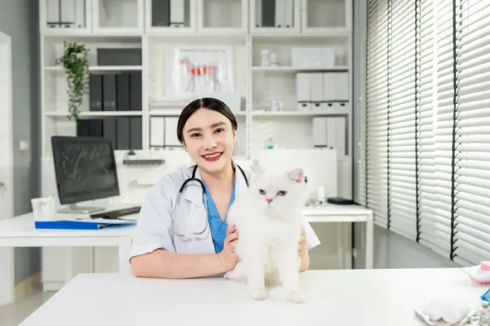 برای نگهداری گربه باید اورا عقیم کرد